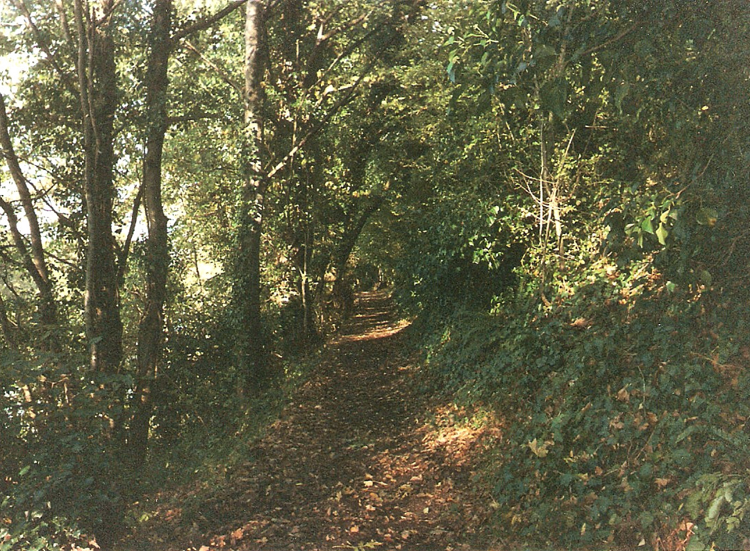 The Warren-海伊必去景点