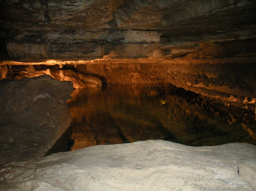 Forestville/Mystery Cave State Park景点图片