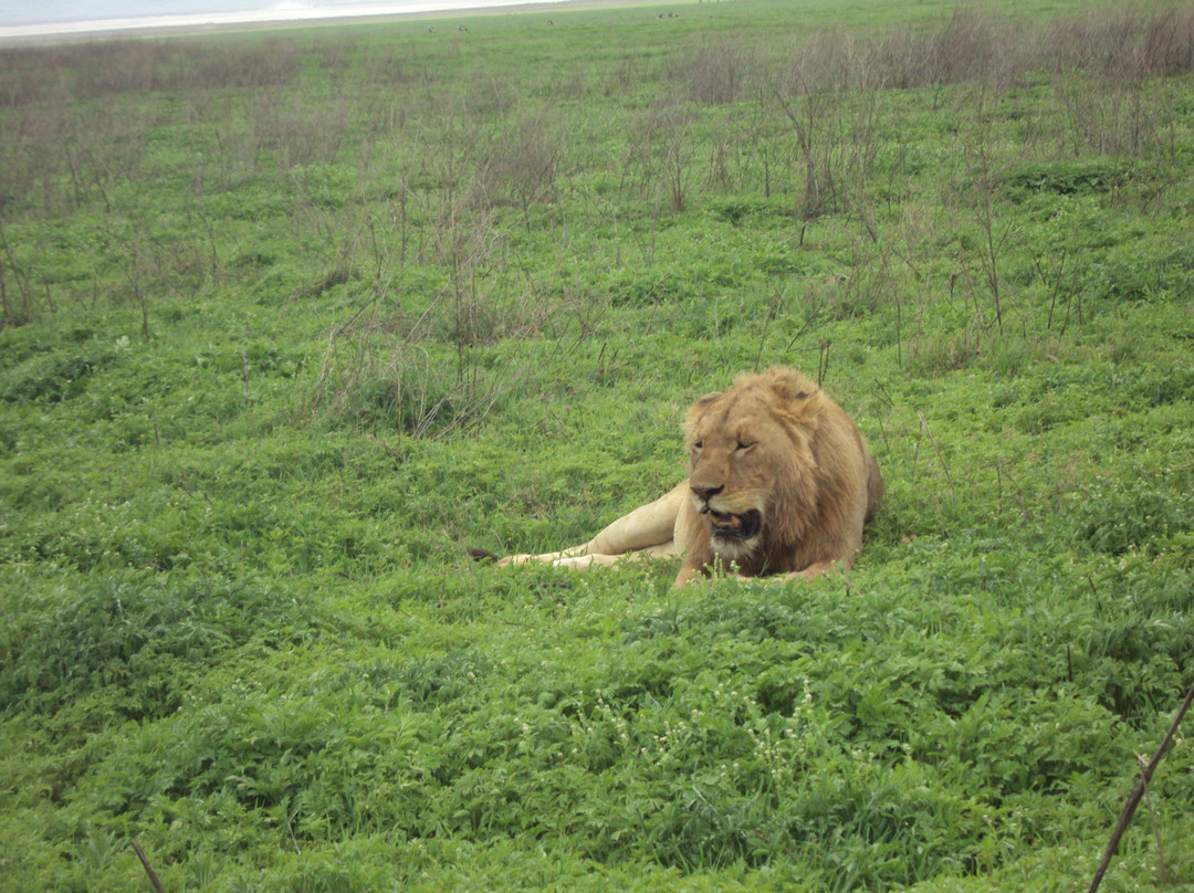 New Mwanza Hotel主图