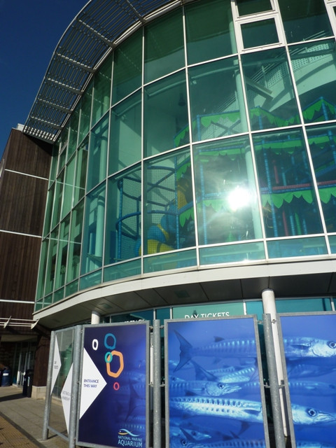 National Marine Aquarium-普利茅斯必去景点