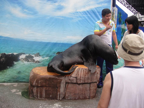 长隆飞鸟乐园-广州市必去景点