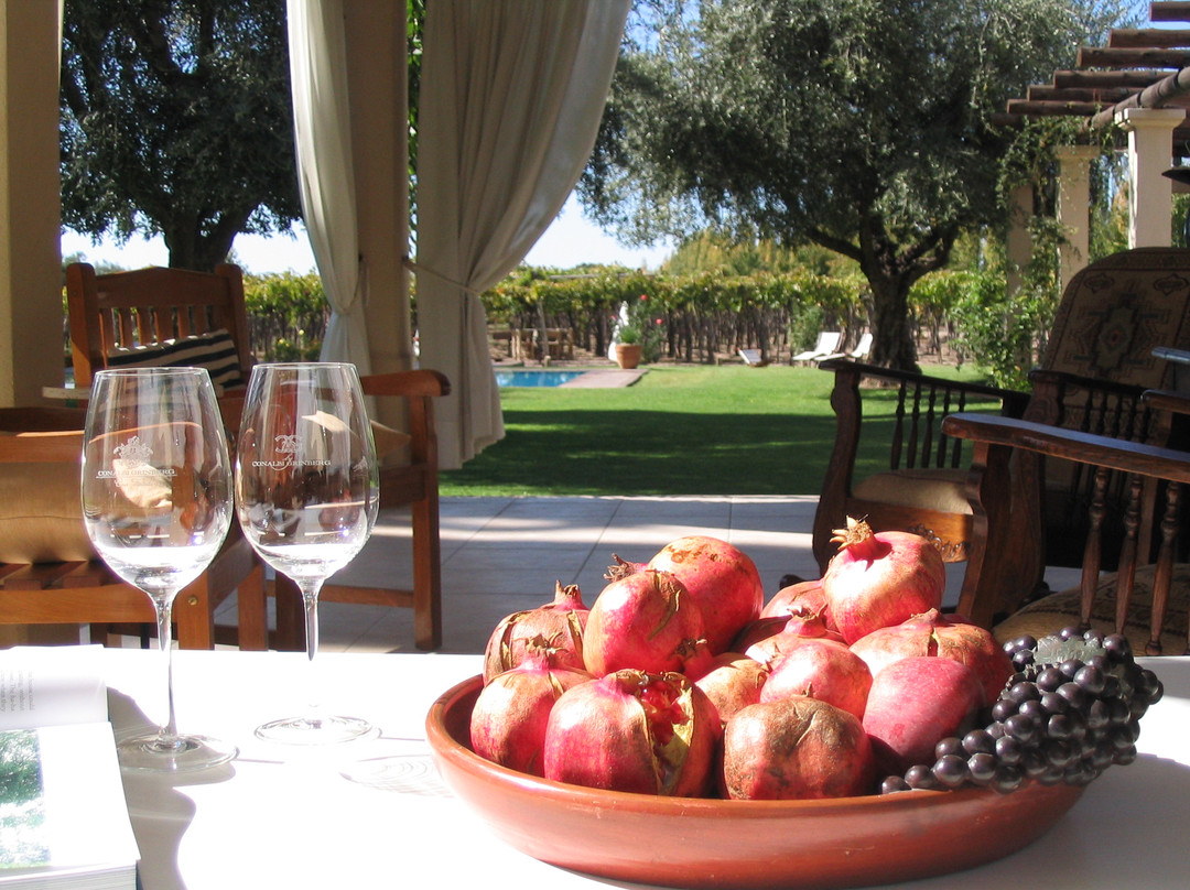 Conalbi Grinberg Casa Vinicola-Maipu必去景点