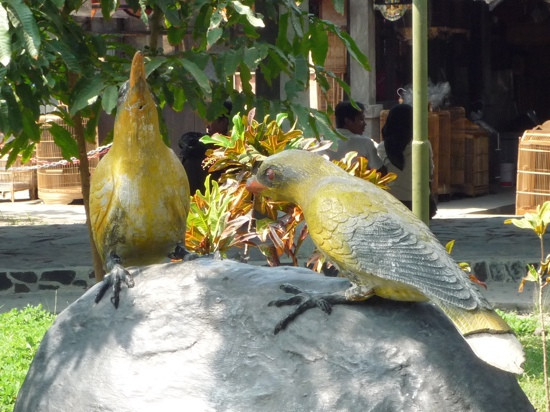 Yogyakarta Bird Market-日惹必去景点