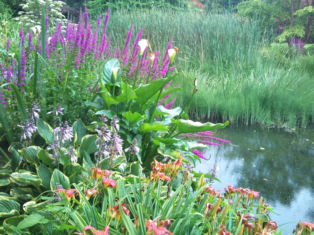 Mount Usher Gardens-Ashford必去景点