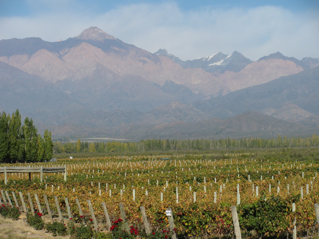 Mendoza Wine Camp-门多萨必去景点
