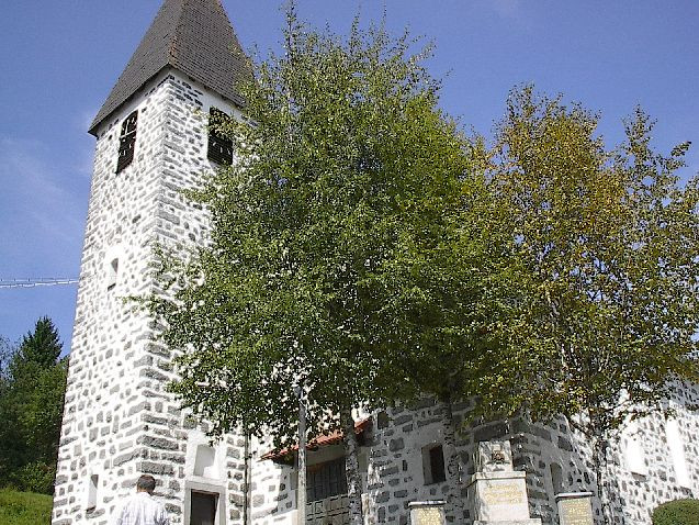 Pfarrkirche St. Karl Borromaus景点图片