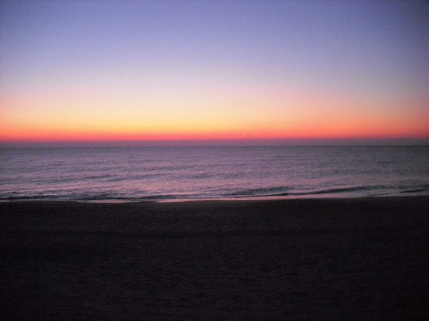 Carolina Beach State Park景点图片