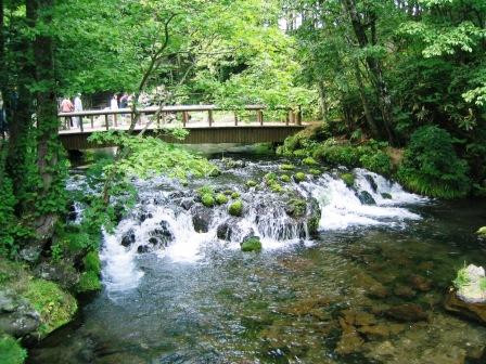 名水公园景点图片