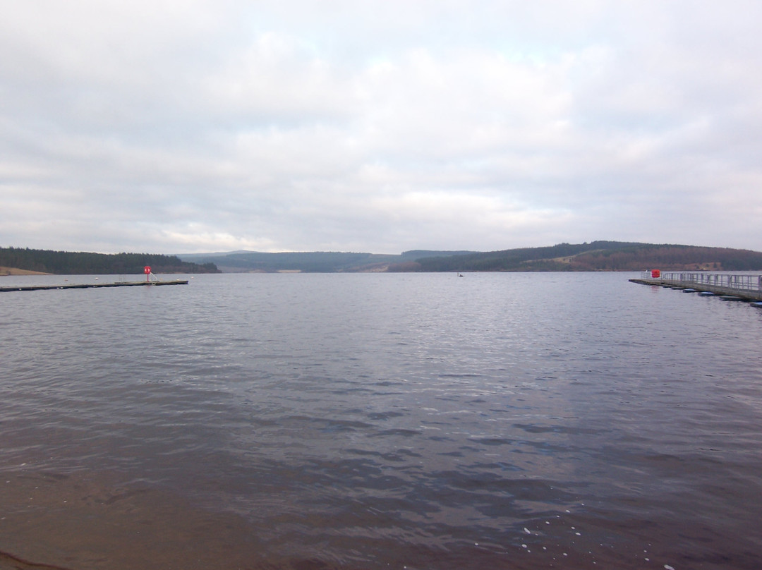 Kielder Forest-Kielder必去景点