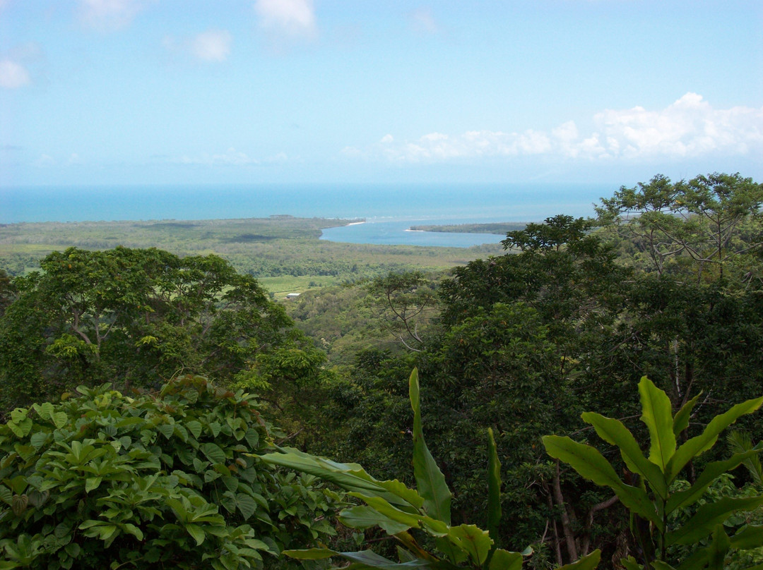 Daintree Rainforest Cooper Creek Wilderness-Cape Tribulation必去景点
