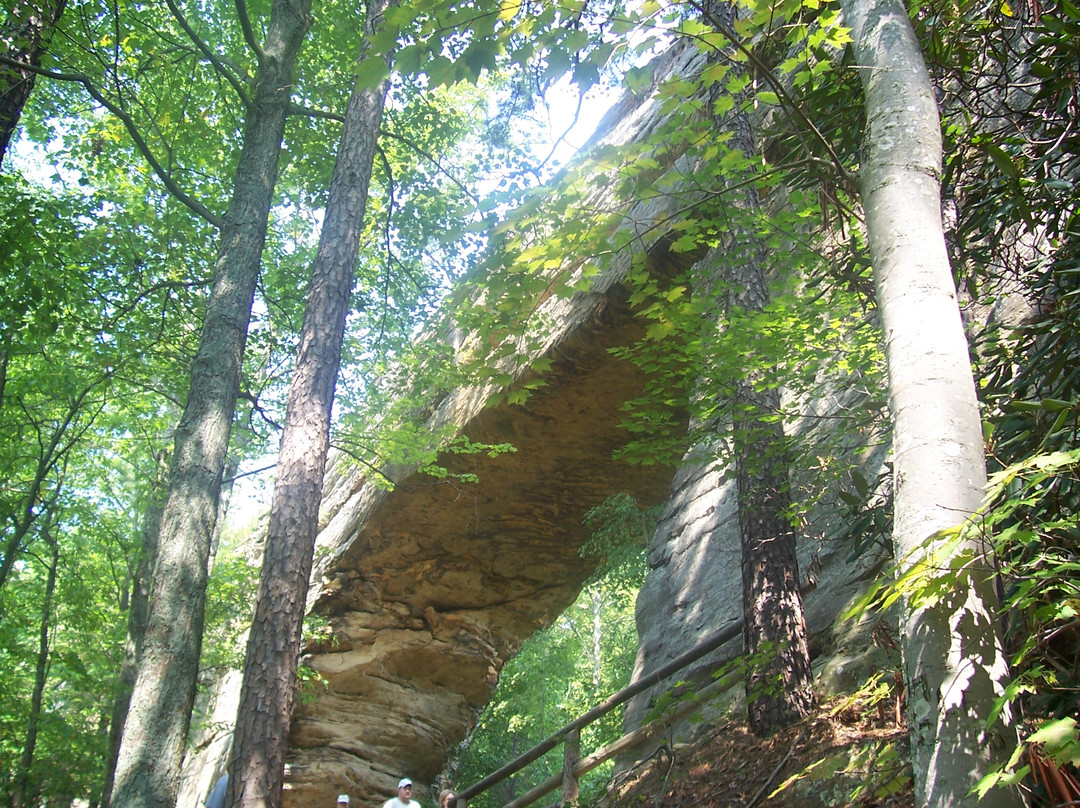 Natural Bridge State Resort Park-Slade必去景点