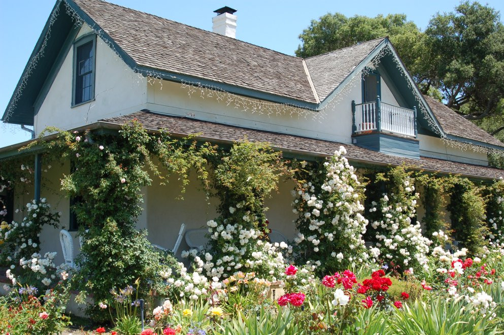 丽都葡萄园-索尔万必去景点