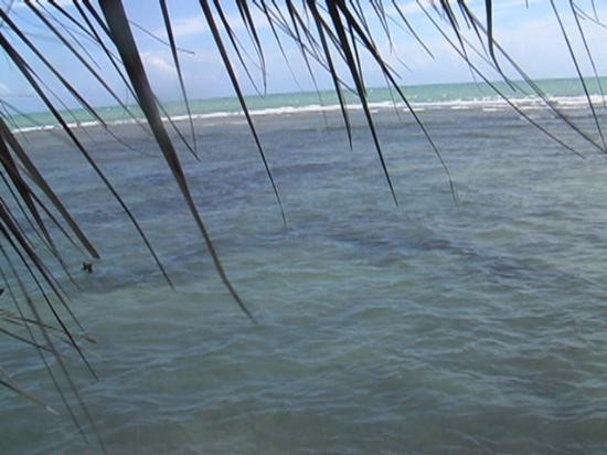 Floyd's Pelican Bar-瑰宝滩必去景点