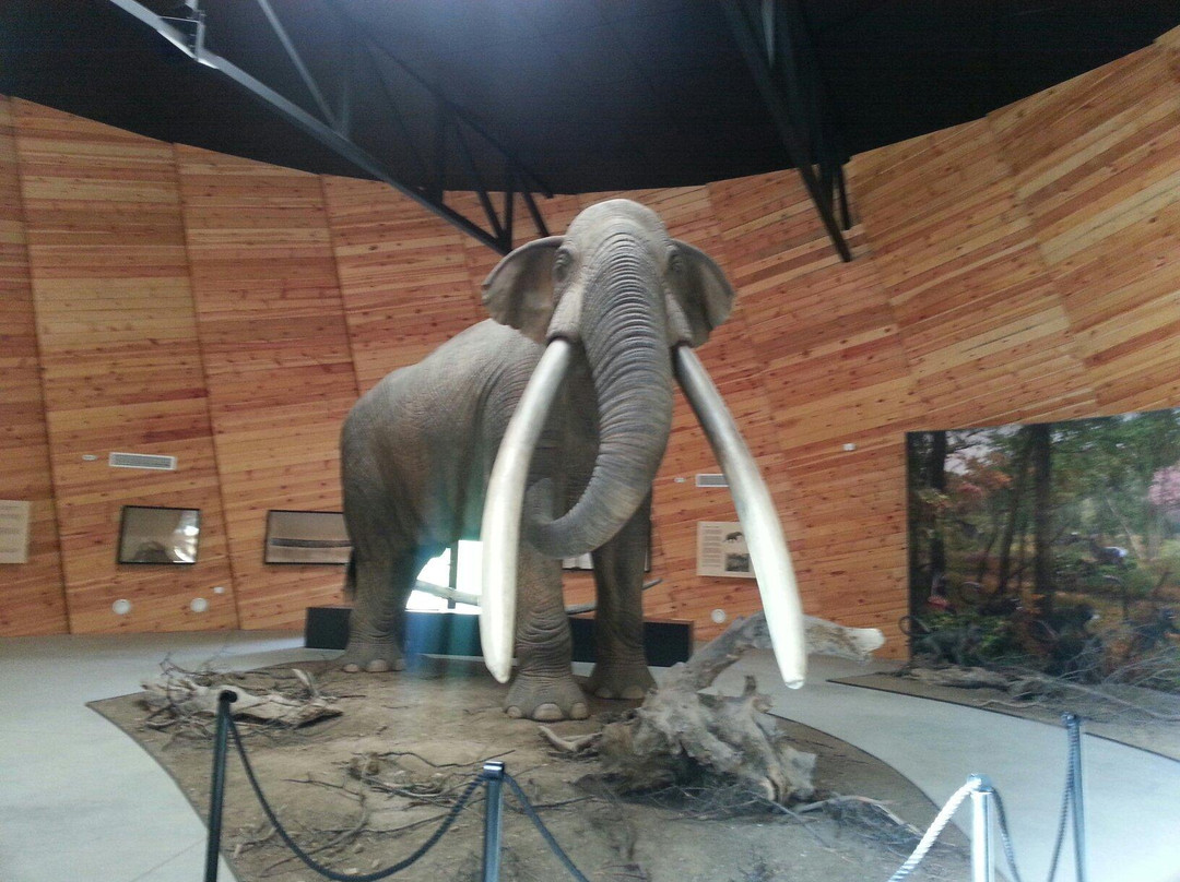 Pliocene Park-Dorkovo必去景点