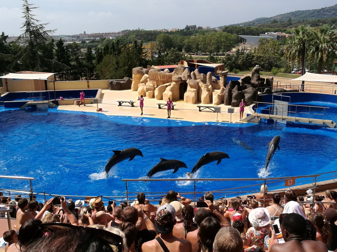 Palafolls旅游景点-Marineland Catalunya
