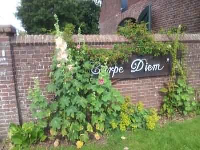 B&B Hoeve Carpe Diem-官方