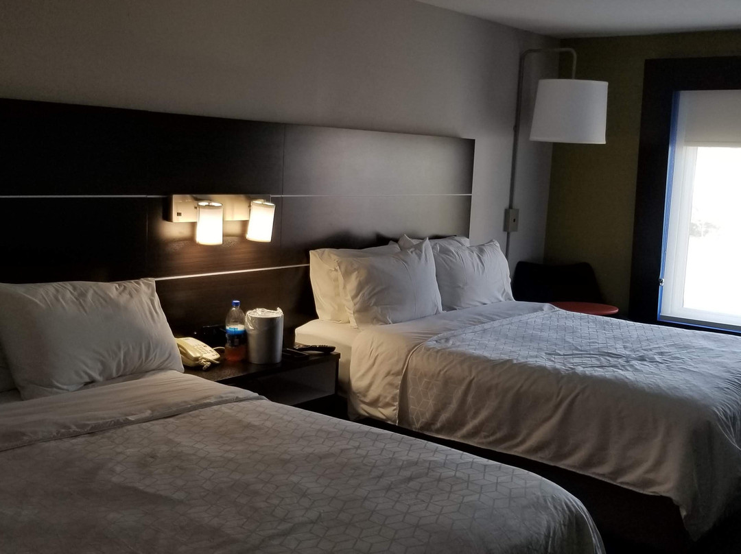 Holiday Inn Express & Suites Dickinson By IHG主图