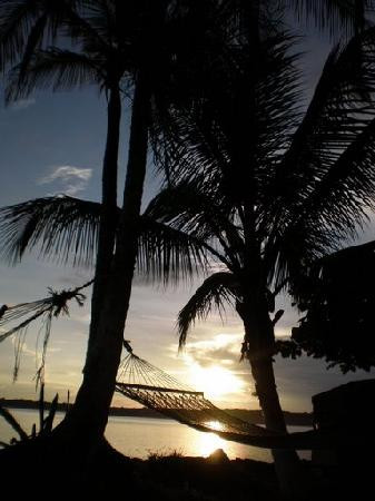 Cahuita National Park景点图片