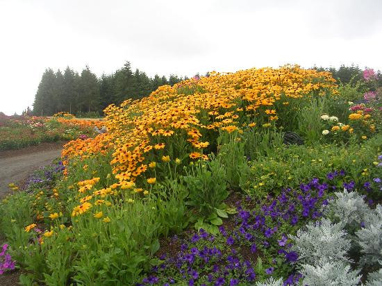 The Oregon Garden-Silverton必去景点