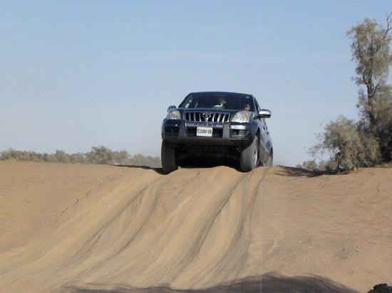 Ligne d'Aventure - Day Tours-拉巴特必去景点