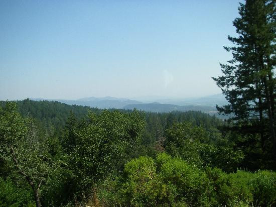 纳帕谷乡村酒庄之旅-纳帕必去景点