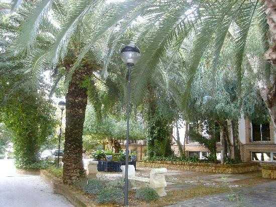 Castillo de Canena-Canena必去景点