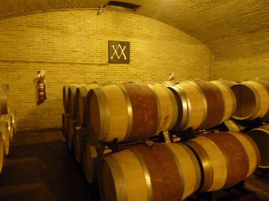 Ampora Wine Tours-门多萨必去景点