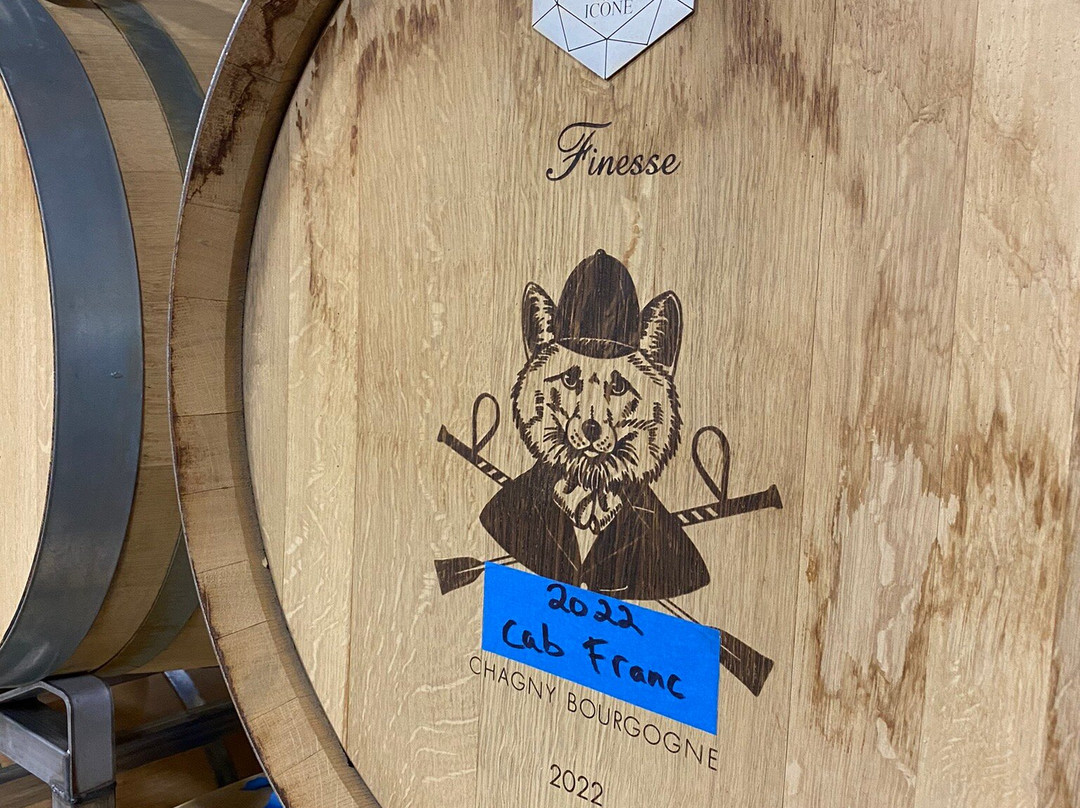 Fox Hollow Vineyards景点图片