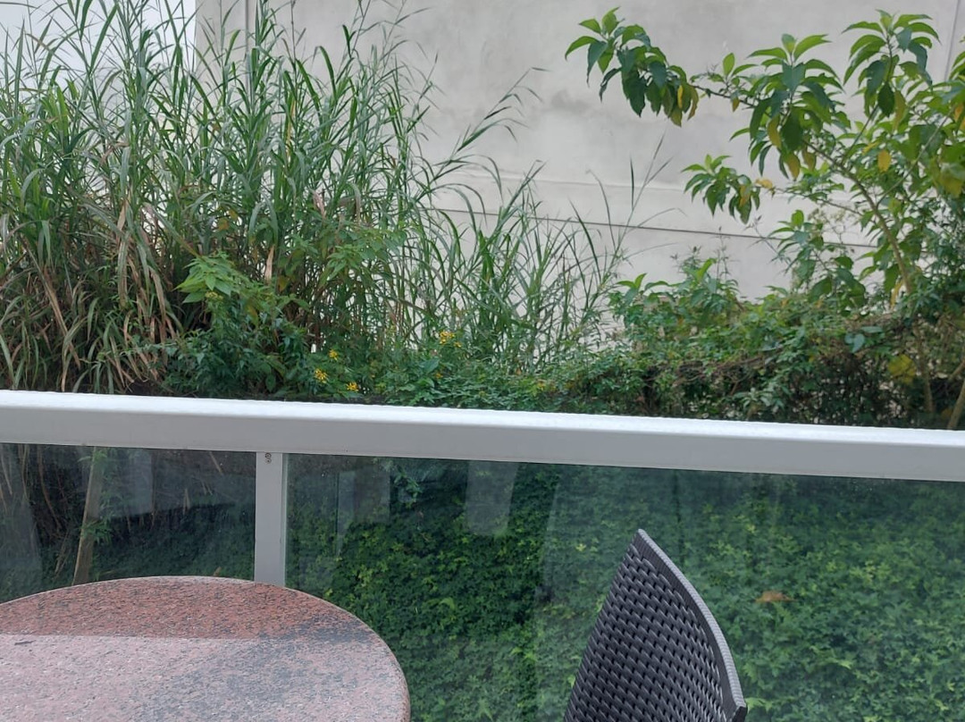 Hotel Petropolis Inn主图