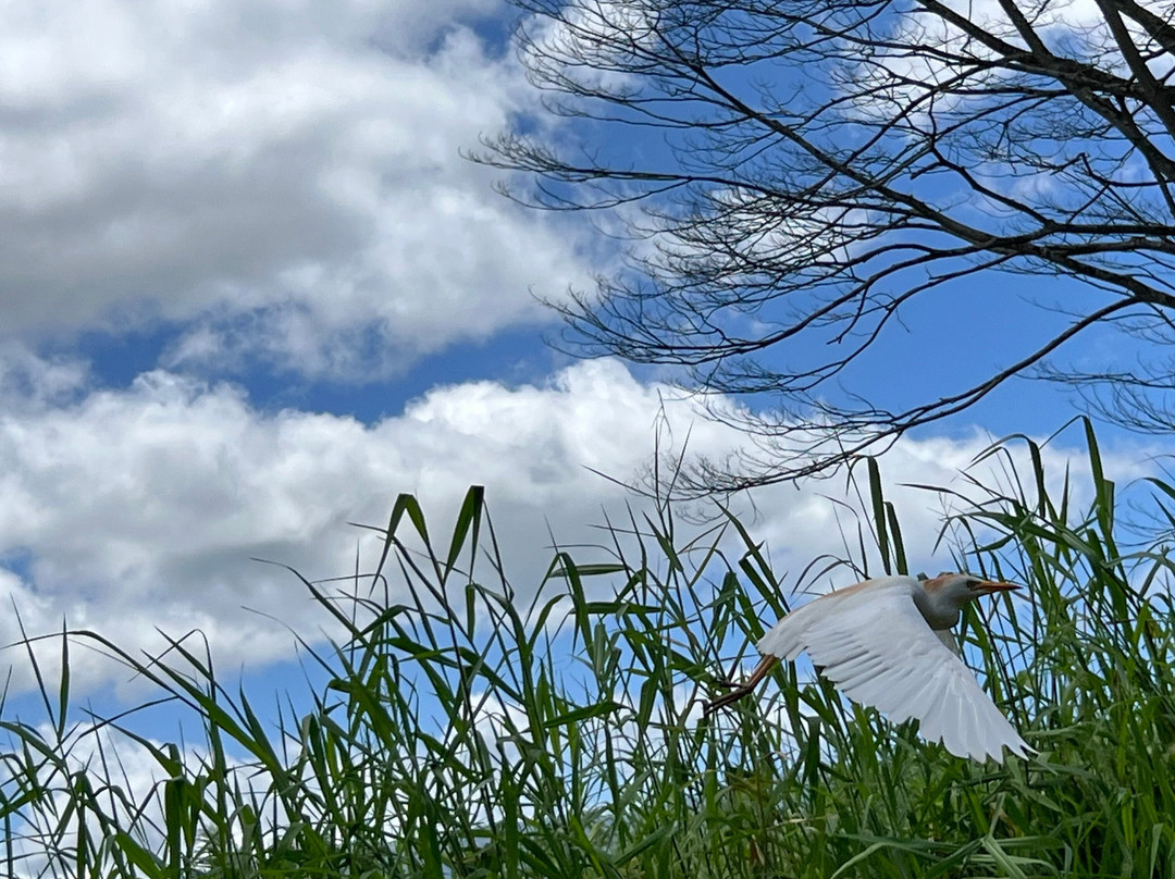 Okolehao Trail-哈纳雷伊必去景点