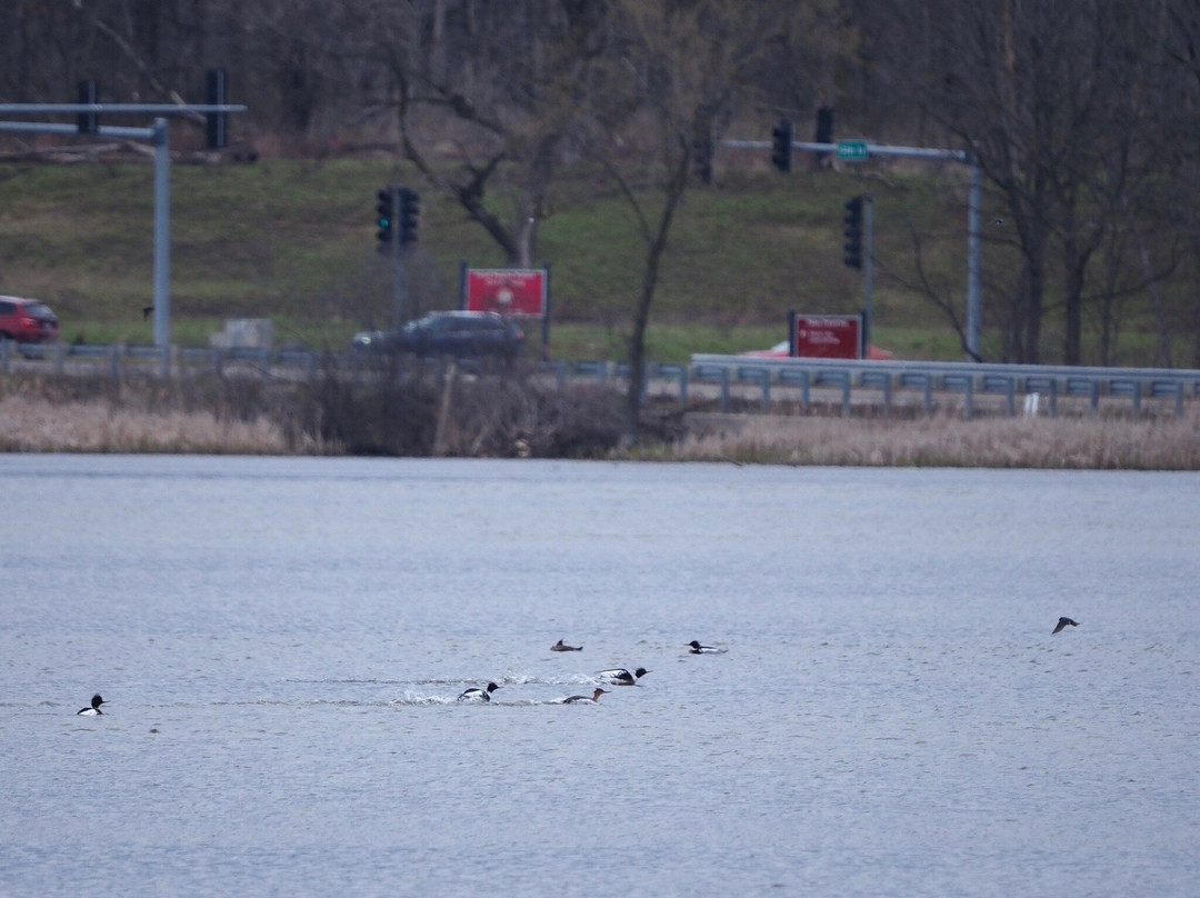 Little Red Schoolhouse-Willow Springs必去景点