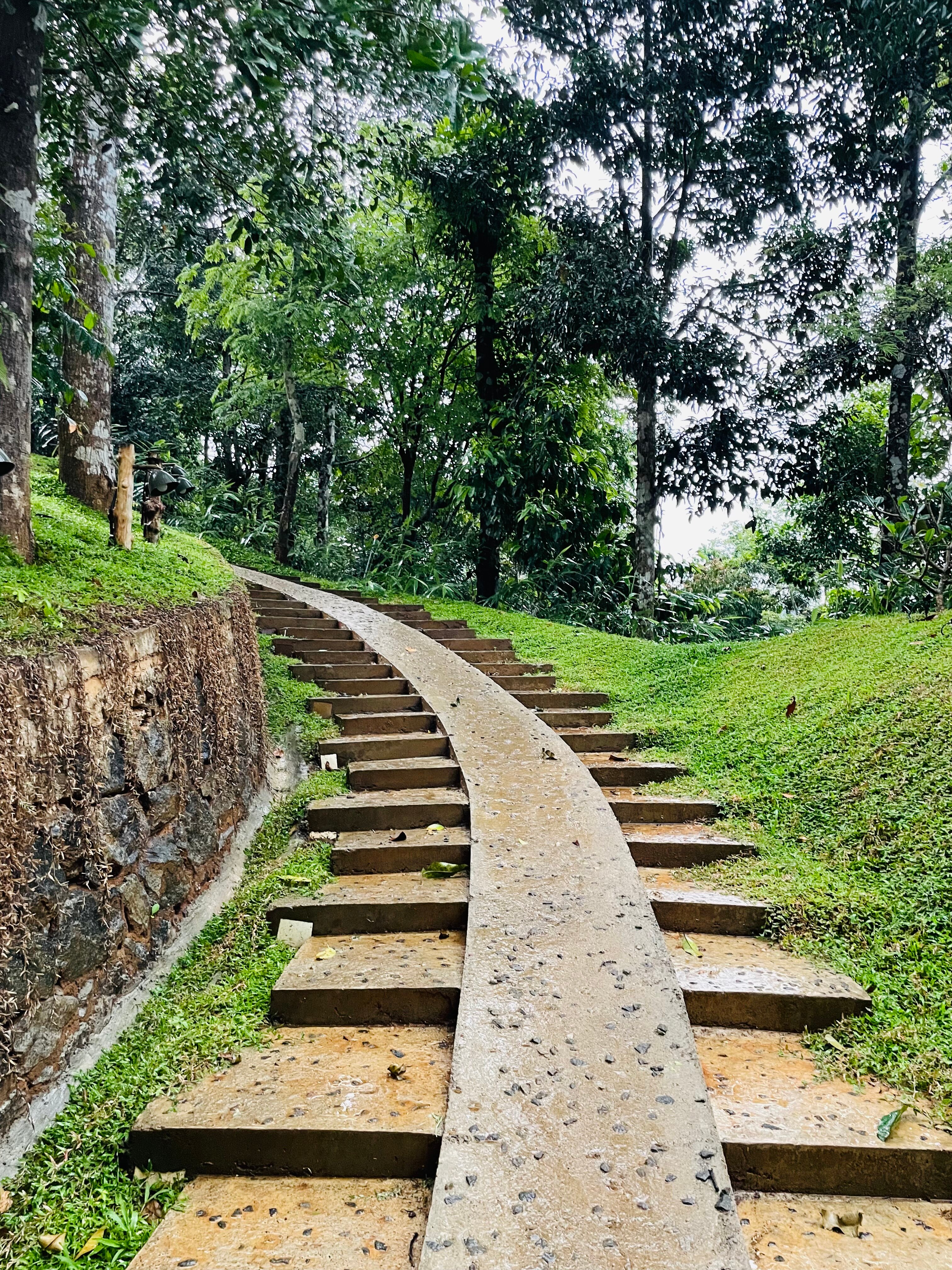 Chembarathi Wayanad-官方