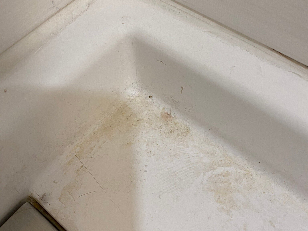 Holiday Inn Express & Suites Petersburg/dinwiddie By IHG主图