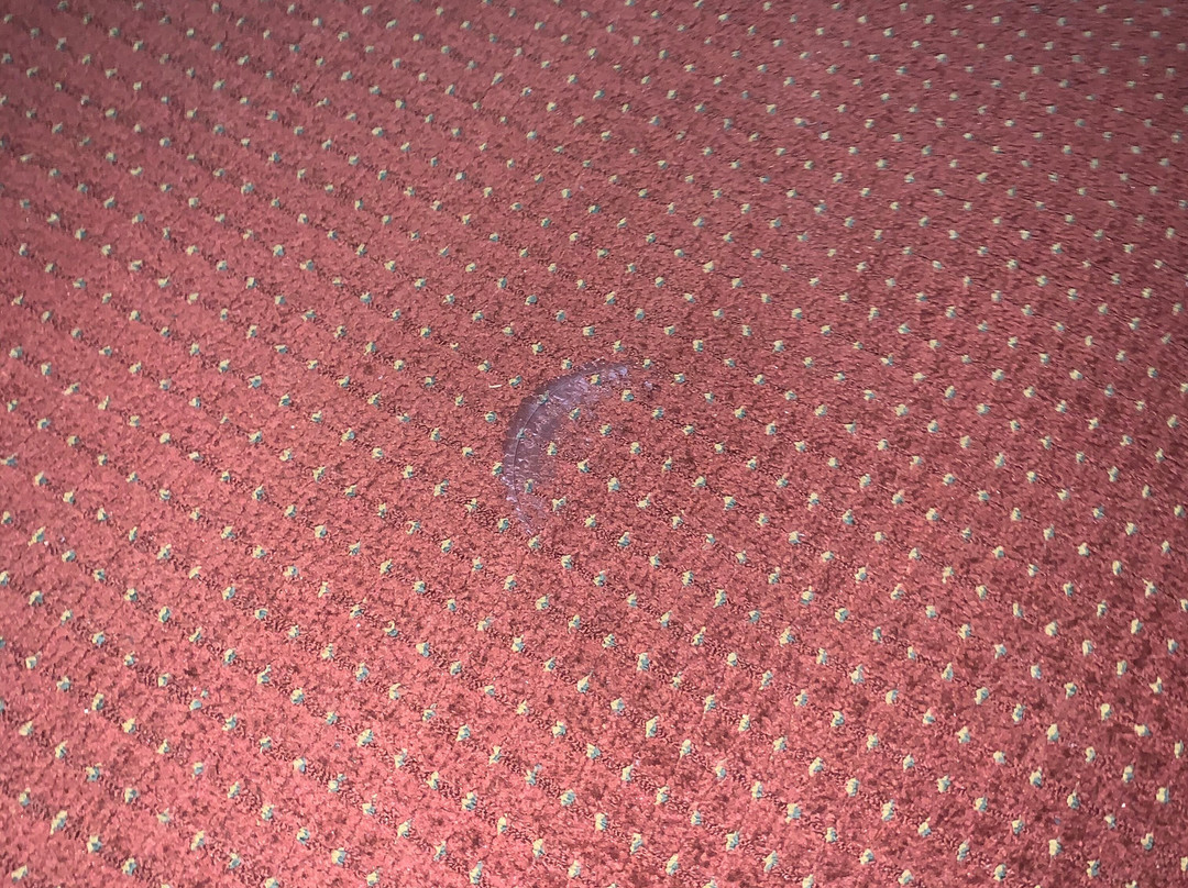 Super 8 by Wyndham Lavonia主图