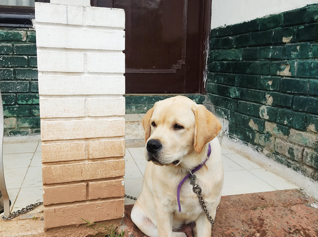 凡杜尔迦套房别墅主图