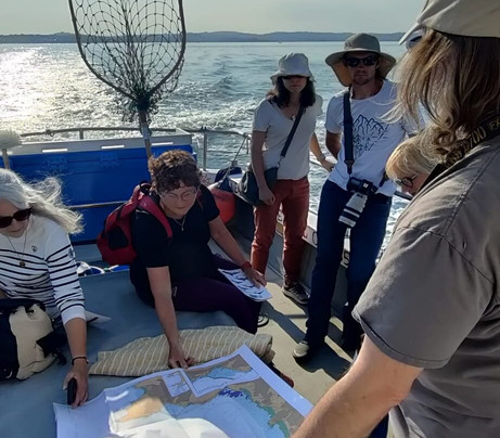 Sea-Life Conservation Tours-布里克瑟姆必去景点