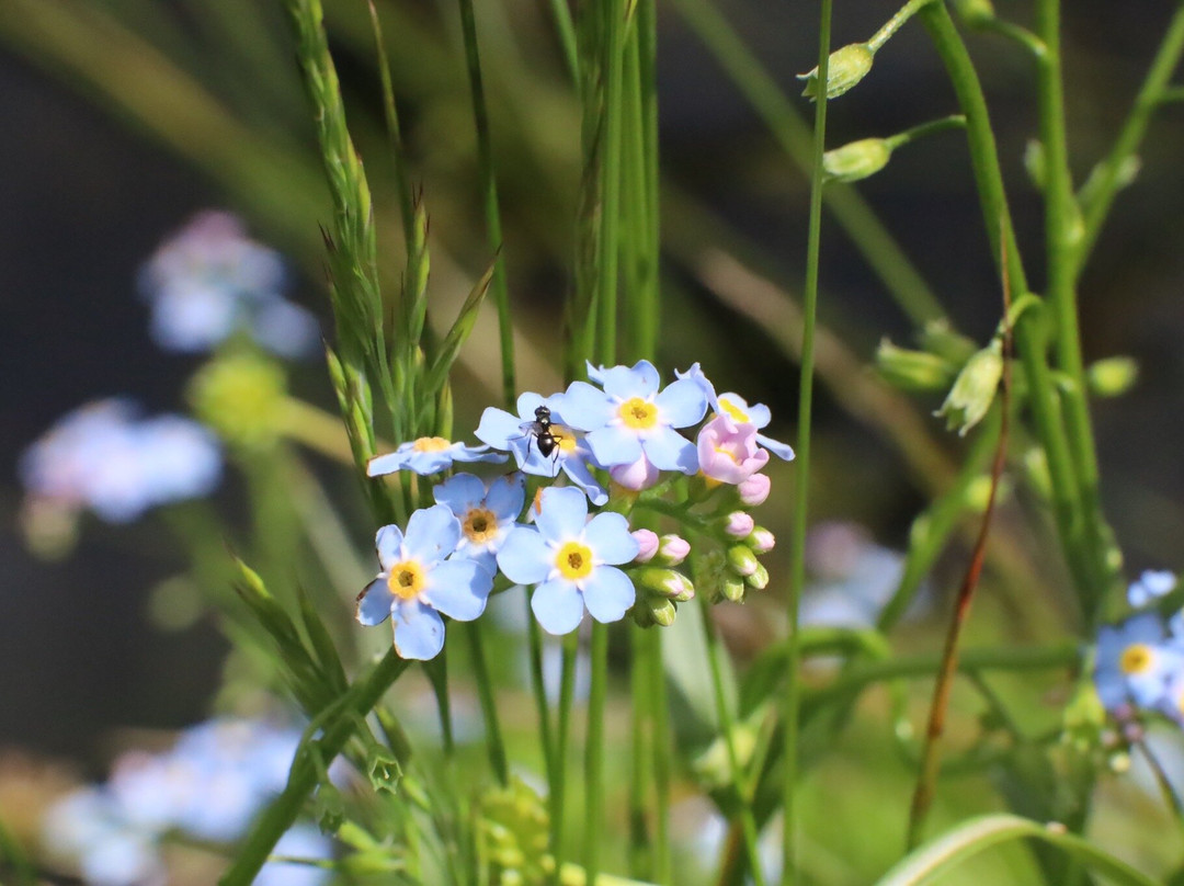 Hoferhaus Hotel-Pension主图