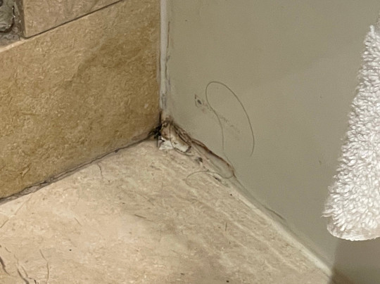 Delta Hotels Baltimore North主图