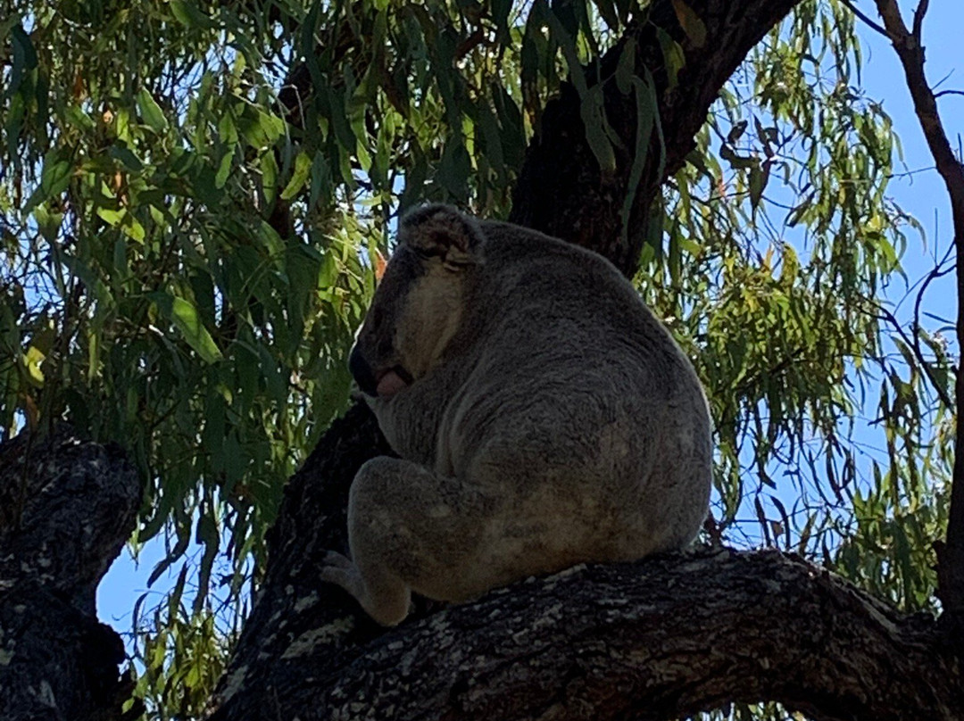 True North Bed & Breakfast主图