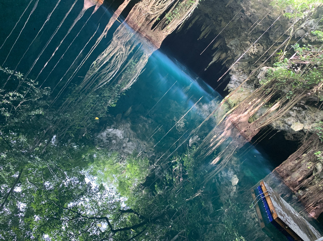 Experiencia Privada en Cenote Exclusivo景点图片