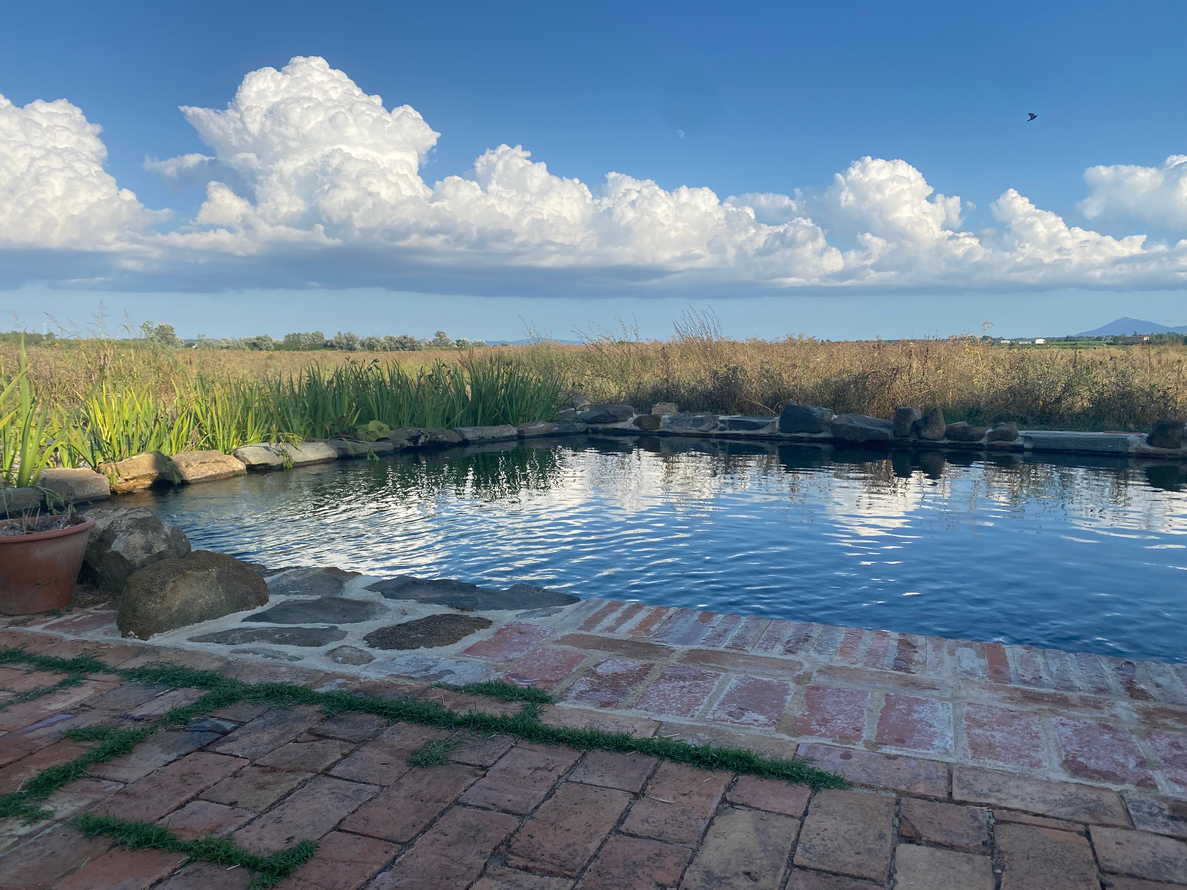 Azienda Agricola Passerini - Agriturismo Podere Padolecchie-官方