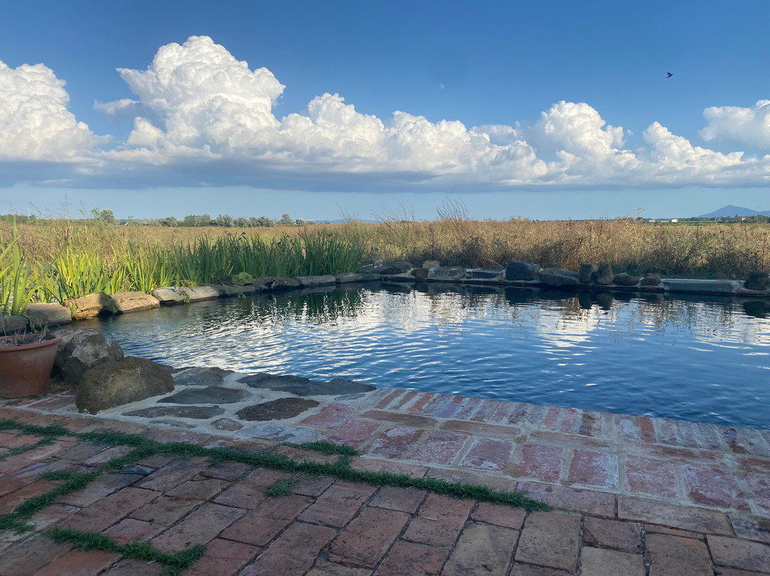 Azienda Agricola Passerini - Agriturismo Podere Padolecchie主图