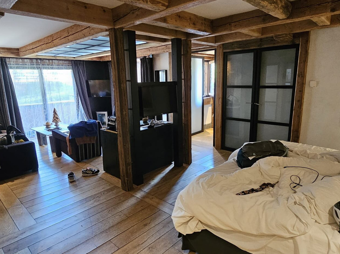 Hôtel Les Suites - Maison Bouvier主图