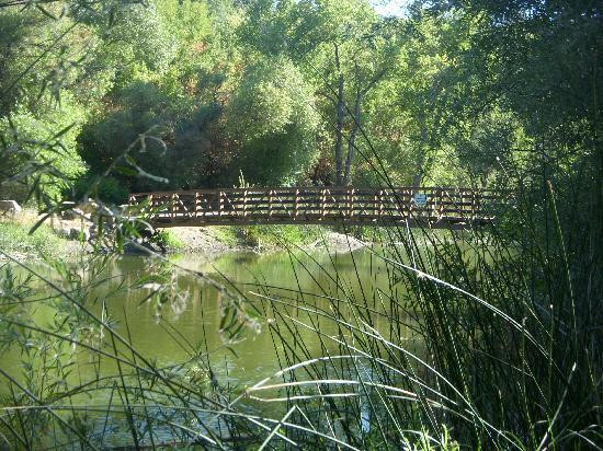 Clear Lake State Park景点图片