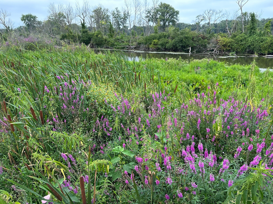 Galien River County Park-New Buffalo必去景点