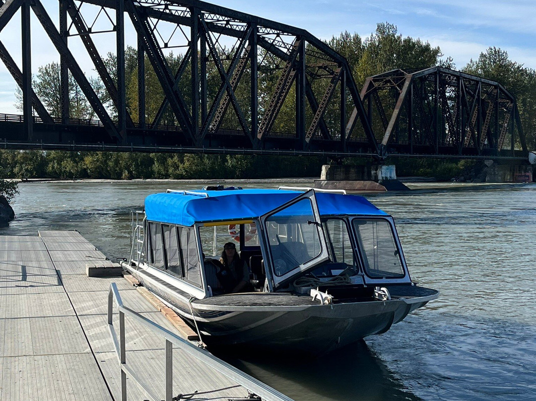 Talkeetna Villas and Tours主图