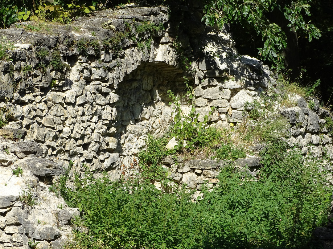 Ruins of the Pauline Monastery景点图片