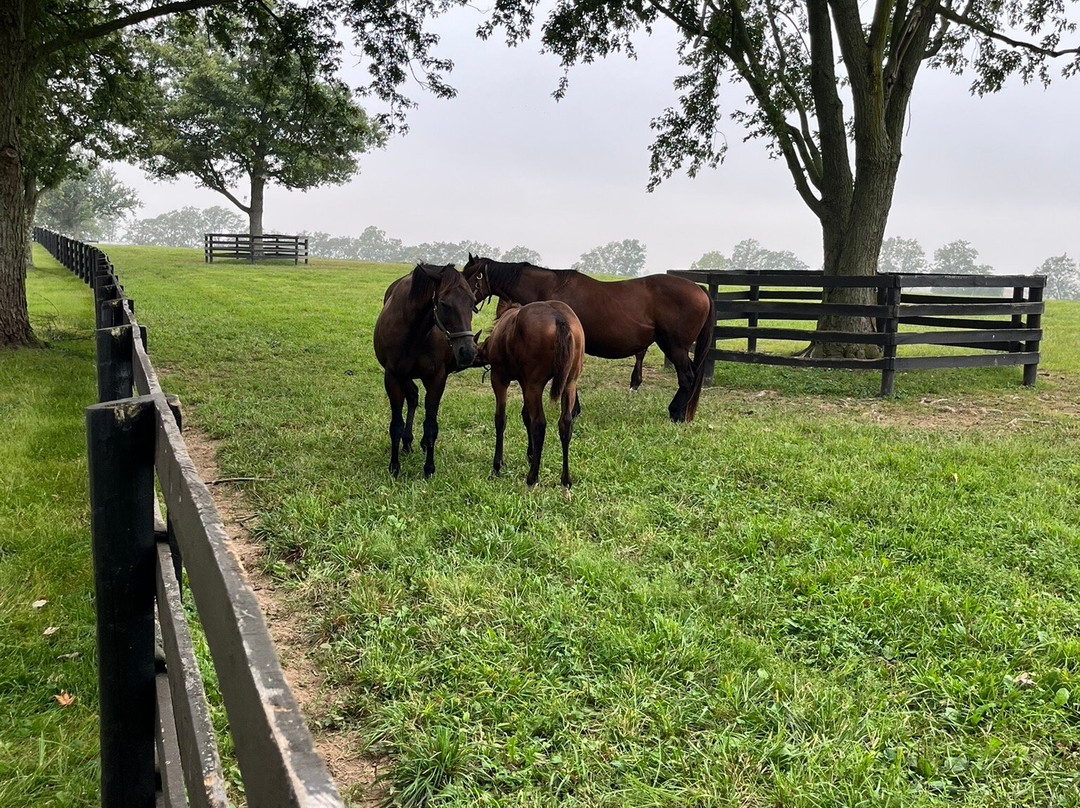 The Guesthouse at Rosecrest Farm主图