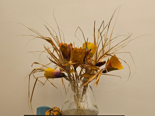 My Efterpi-塞萨洛尼基必去景点