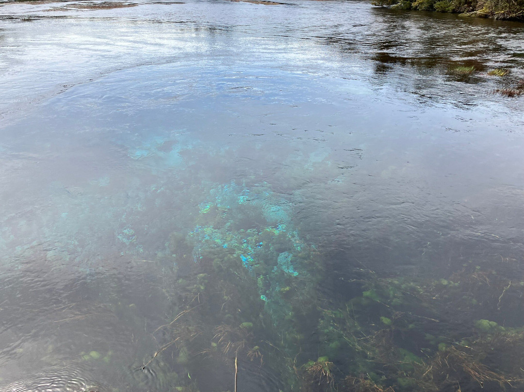Te Waikoropupu Springs (Pupu Springs)-南岛必去景点